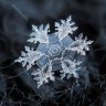 Aksnow
